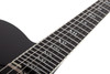Schecter PT FR-S SLS Elite Evil Twin - Satin Black (1383) | Musician Madness