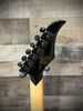 Schecter Wylde Audio Berzerker Electric Guitar - Blood Skull (4582) | Musician Madness