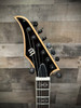 Schecter Wylde Audio Berzerker Electric Guitar - Blood Skull (4582) | Musician Madness