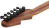 Schecter Avenger Exotic - Spalted Maple (580) | Musician Madness