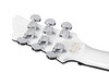 Schecter Stargazer-6 - Gloss White (676) | Musician Madness