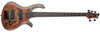Schecter Riot-5 Bass - Inferno Burst (1453) | Musician Madness