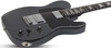 Schecter PT EX - Dorian Gray (2148)