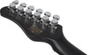 Schecter PT EX - Dorian Gray (2148)