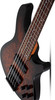 Schecter C-5 Standard - Tobacco Burl (3972) | Musician Madness