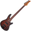 Schecter C-5 Standard - Tobacco Burl (3972) | Musician Madness