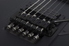 Schecter Riggs Ultra FR-S - Satin Black (2291) | Musician Madness