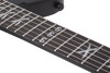 Schecter Riggs Ultra FR-S - Satin Black (2291) | Musician Madness
