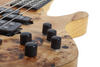 Schecter Reaper-4 - Natural Satin (2928) | Musician Madness