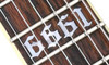 Schecter Zacky Vengeance Custom Reissue LH - See Thru Cherry with 6661 Graphic (27) | Musician Madness