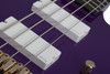 Schecter FreeZesicle-4 - Freeze Purple (2297) | Musician Madness