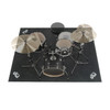 DW DW Logo Drum Rug, 62X78 (DWCPRUG2) | Musician Madness