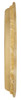 Latin Percussion LP 11" Pre-mounted Head for CP646/643 Rawhide (CP640B) | Musician Madness