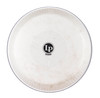 Latin Percussion LP Evans 9 3/4" Requinto Head (LP803AE) | Musician Madness