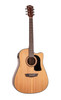 Washburn AD5CEPACK-A Apprentice Dreadnought Acoustic Electric Guitar Pack (AD5CEPACK-A-U)