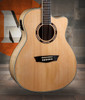 Washburn AG40CE Apprentice Series Grand Auditorium Cutaway Acoustic Electric Guitar w/ Hard Case (AG40CEK-A-U)