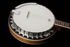 Washburn B9 Americana Series (5 String) Banjo - Sunburst (B9-WSH-A-U) | Musician Madness