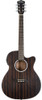 Washburn DFEACE-A Deep Forest Grand Auditorium Cutaway Acoustic Electric Guitar - Striped Ebony (DFEACE-A-U) | Musician Madness