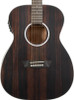 Washburn DFEFE-U Deep Forest Folk Acoustic/Electric Guitar - Striped Ebony (DFEFE-U)