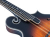 Washburn M3SEBRK F-Style Acoustic Electric Mandolin w/ Gig Bag - Bourbon Burst (M3SEBRK-U) | Musician Madness
