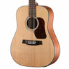 Walden D552E Natura Solid Spruce Top 12-String Dreadnought Acoustic-Electric - Open Pore Satin Natural (D552E/W)