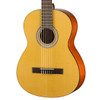 Walden N350 Standard Nylon Classical - Gloss Natural (N350/W) | Musician Madness