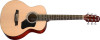 Walden T350 Standard 7/8 sized Travel Body Acoustic - Gloss Natural (T350/W)
