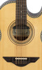 H. Jimenez Bajo Quinto Cutaway Electric w/ Gig Bag (LBQ1E) | Musician Madness