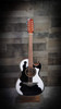 H. Jimenez Bajo Quinto Cutaway Electric w/ Gig Bag (LBQ4EBT)
