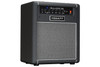 Hiwatt Bulldog 30 Combo - BT 30W Bass Combo (BD30C-U)
