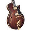 D'Angelico Deluxe SS - Satin Brown Burst (DADSSSBBGT)
