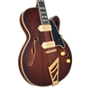 D'Angelico Deluxe 59 - Satin Brown Burst (DAD59SBBGT)