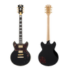 D'Angelico Deluxe Brighton - Solid Black (DADBRISBK2GS) | Musician Madness