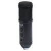CAD Audio U49 Side Adress USB Studio Microphone (U49-U)
