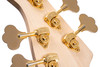 Cort RITHIMICV 5 String Bass Guitar - Natural Glossy (RITHIMICV-U) | Musician Madness