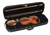 Barcus Berry BB100-EL Legendary Series Acoustic Electric Violin (BB100-EL-U) | Musician Madness
