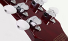 Schecter Zacky Vengeance Custom Reissue - See Thru Cherry with 6661 Graphic (26)