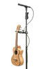 Hercules Auto Grip Ukulele Clamp (USP20CB) | Musician Madness