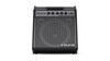 NUX Full Range Powered Monitor (NUX NPA100) | Musician Madness