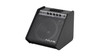 NUX Full Range Powered Monitor (NUX NPA100) | Musician Madness