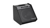 NUX Full Range Powered Monitor (NUX NPA100) | Musician Madness