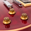Vintage V100T ReIssued Electric Guitar ~ Flamed Trans Wine Red (V100TWR) | Musician Madness