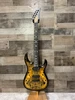 Legator N300 PRO Standard 6 String Electric Guitar (N300-DV)