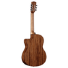 Alvarez Artist Classical Guitar Acoustic Electric with Cutaway (AC65CE)