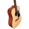 Alvarez Artist Series Dreadnought (AD30)