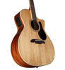 Alvarez Artist Grand Auditorium Guitar Acoustic Electric Shadowburst with Cutaway (AG60CE_Shadowburst)