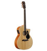 Alvarez Artist Grand Auditorium Guitar Acoustic Electric Shadowburst with Cutaway (AG60CE_Shadowburst) | Musician Madness