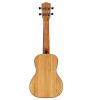 Alvarez BambooUke, All Solid Concert Ukulele Acoustic Elec w/EQ&Tuner (MU55CE)