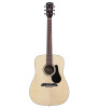 Alvarez Regent Dreadnought w/Deluxe Gig Bag (RD26)