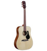 Alvarez Regent Dreadnought w/Deluxe Gig bag (RD26) | Musician Madness
